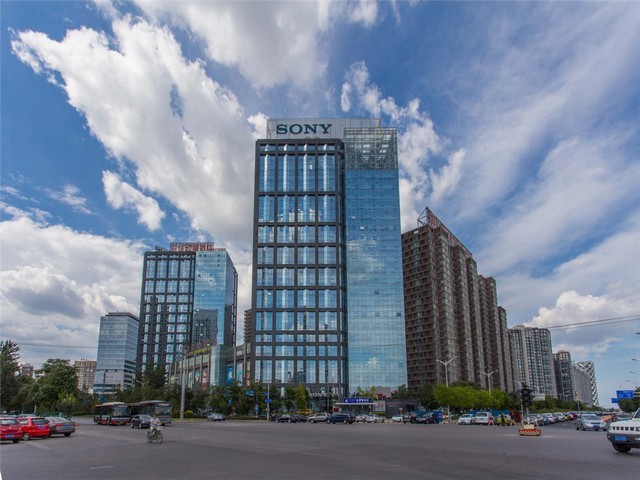 浙江模压级聚偏氟乙烯诚信经营